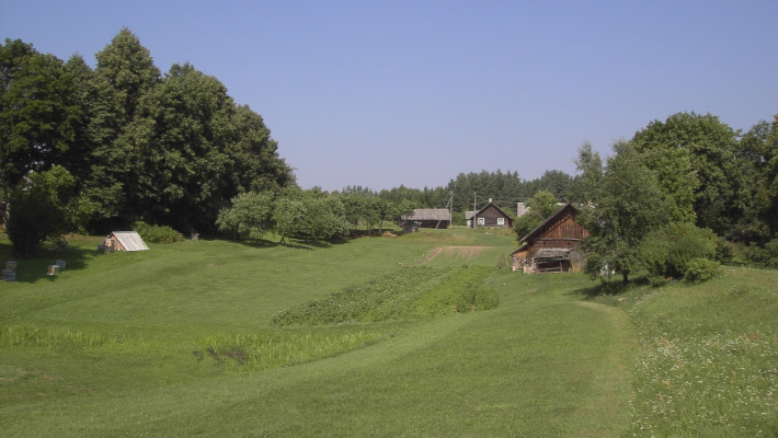 Varniskes_II-2011b.jpg