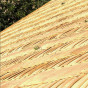 image00014.jpeg