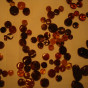 DSC01548.JPG