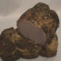 Nugarine.JPG